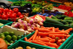 Россия ввела запрет на овощи из стран ЕС